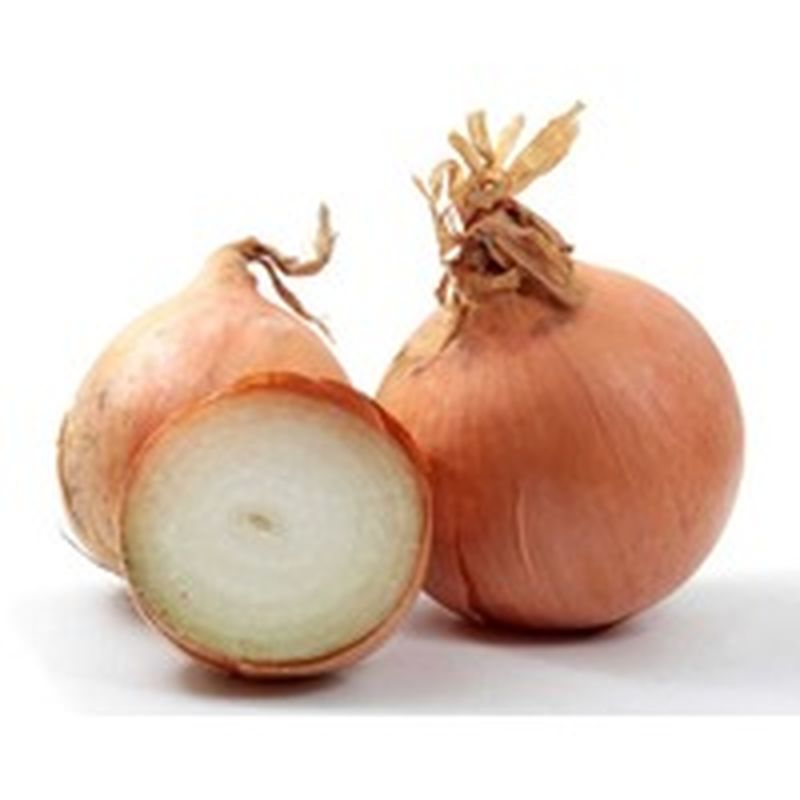 Things In Your Backpack In Spanish » STRONGER