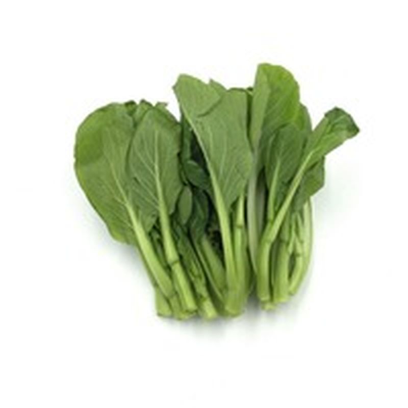 You Choy Jr