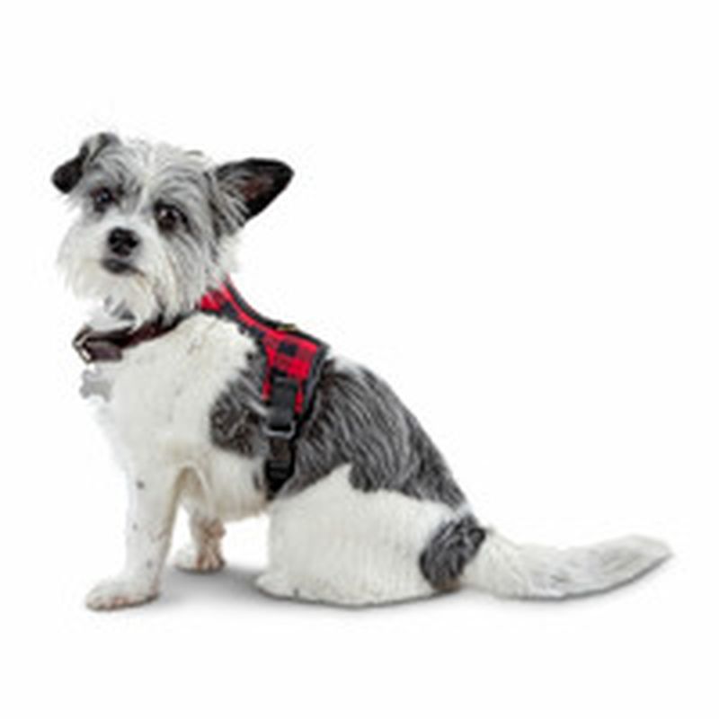 bond co dog harness