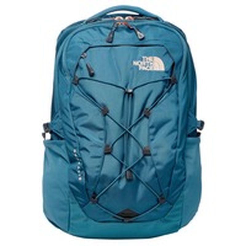 the north face borealis luxe backpack