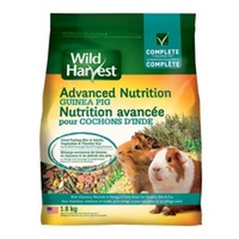 wild harvest guinea pig advanced nutrition diet