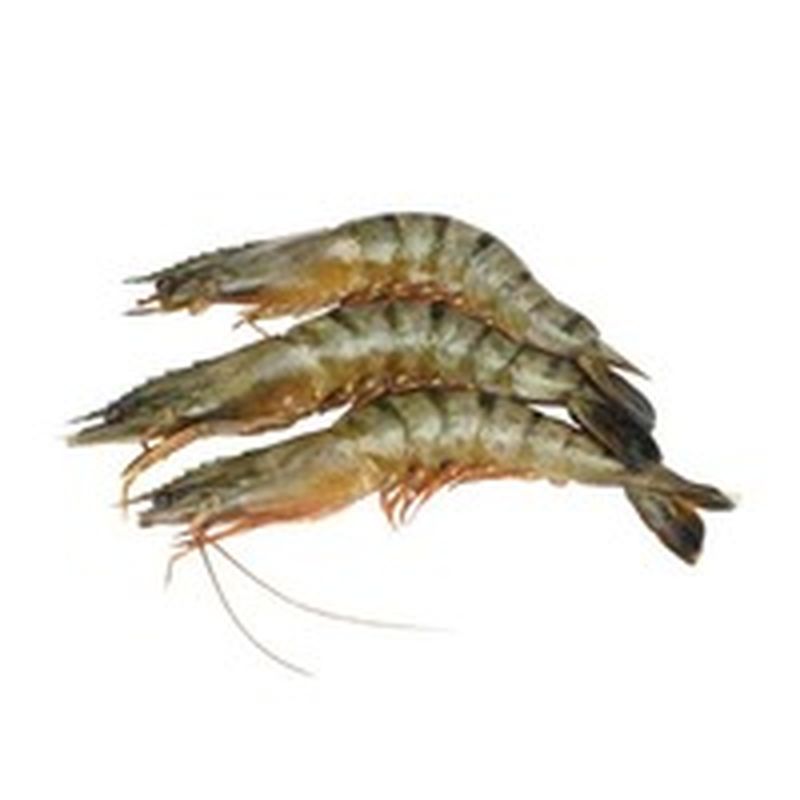 U15 Shrimp Price