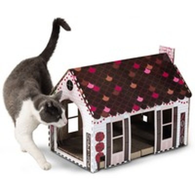 cat scratching playhouse