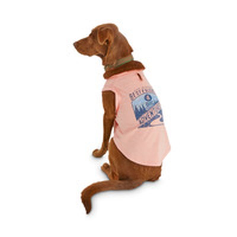 reddy dog clothes