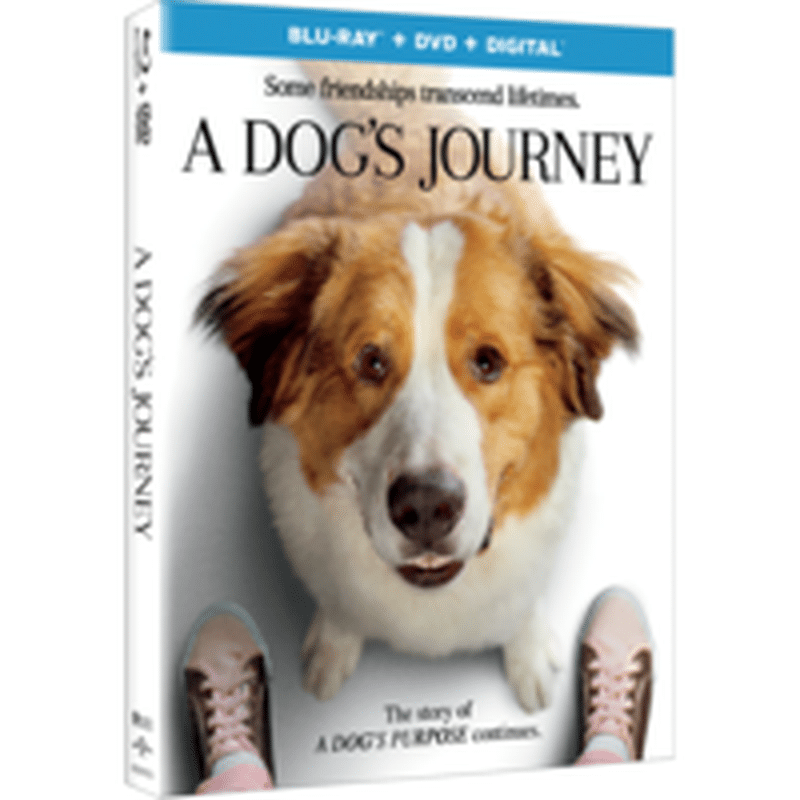 Universal Pictures A Dog S Journey Blu Ray Dvd With Digital Copy Each Instacart