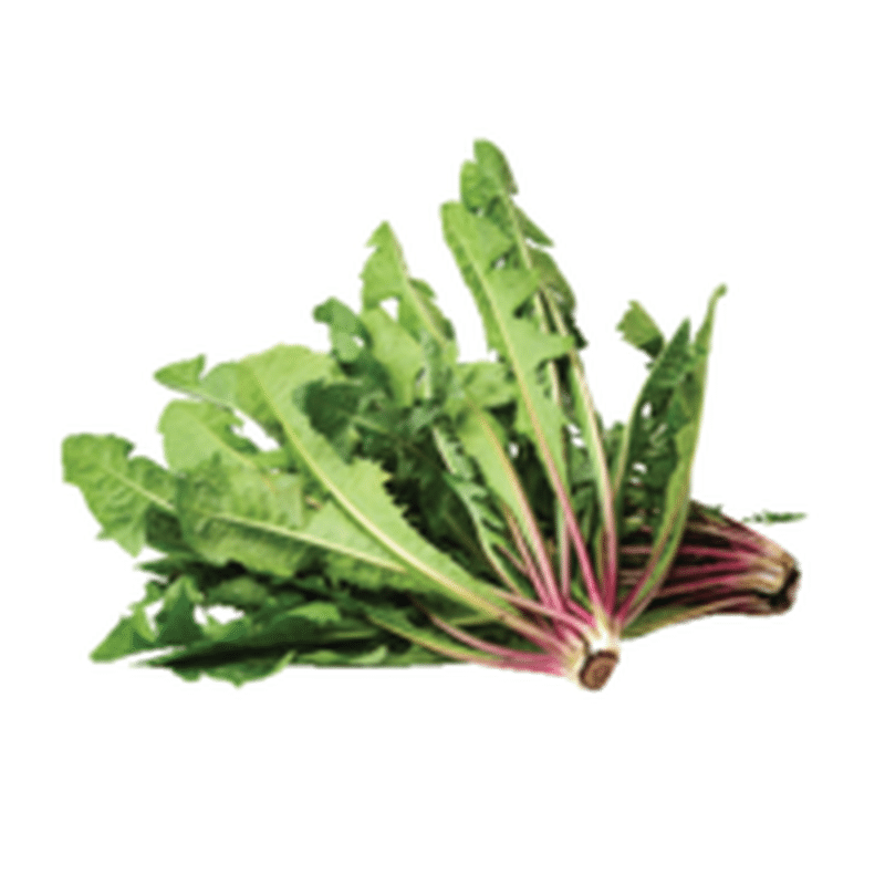 Organic Green and Red Dandelion