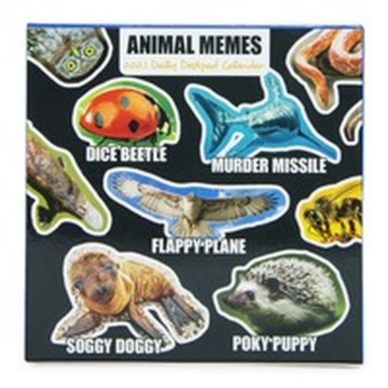 2021 Animal Memes Daily Desktop Calendar