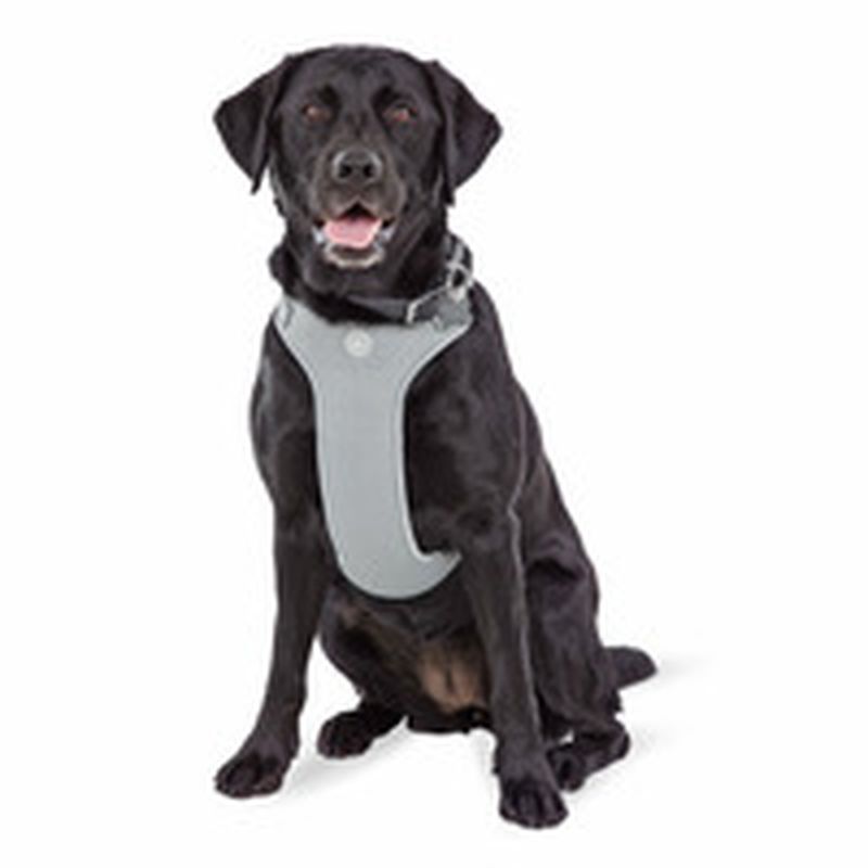 Seas Jubl Extra-Extra-Large & Extra-Extra-Extra-Large Gray Harness Lead