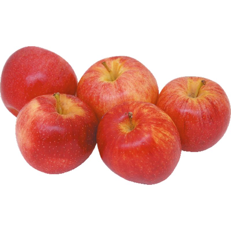 Organic Fuji Apples, New & Peak Season