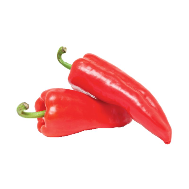 Buy Fresho Chilli - Picador, Red Online at Best Price of Rs 94.17