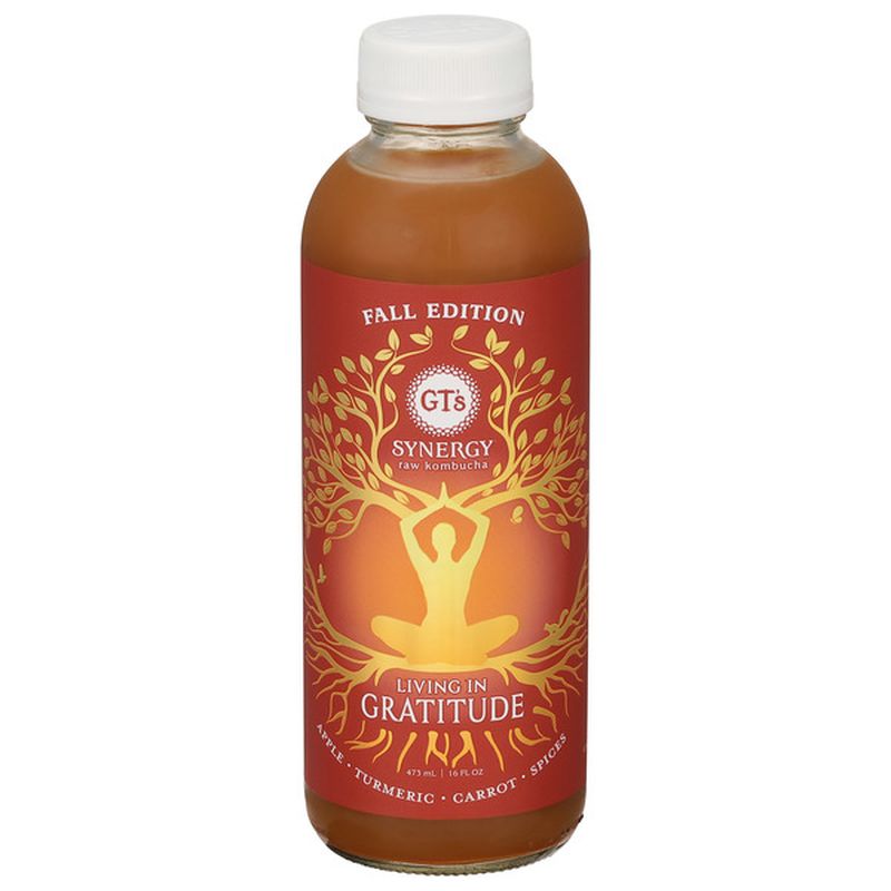 GT's Living Foods Synergy Kombucha, Raw, Living in Gratitude Wegmans