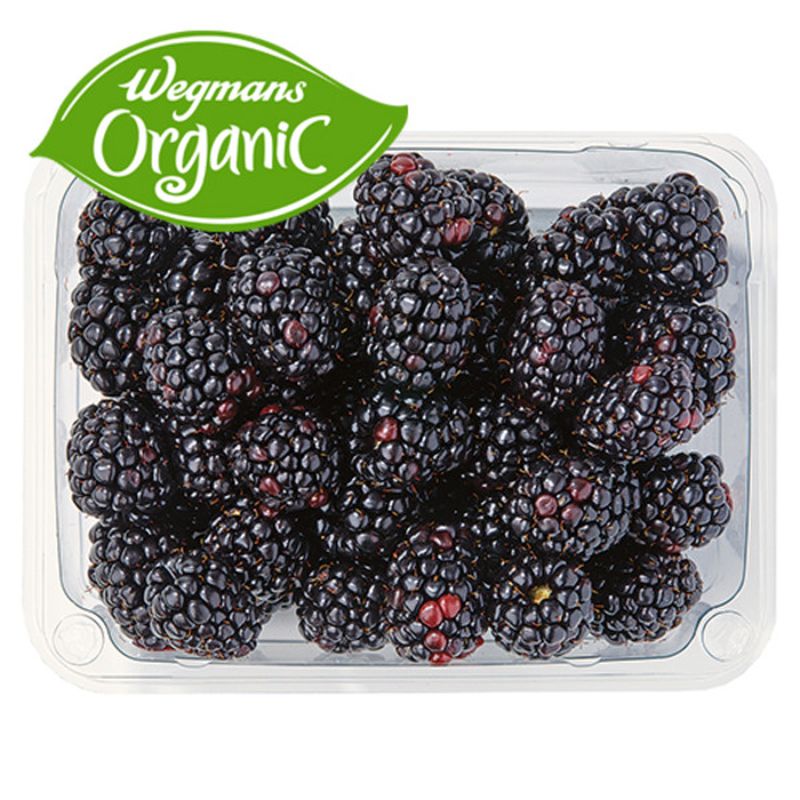 Organic Blackberries, FAMILY PACK Wegmans