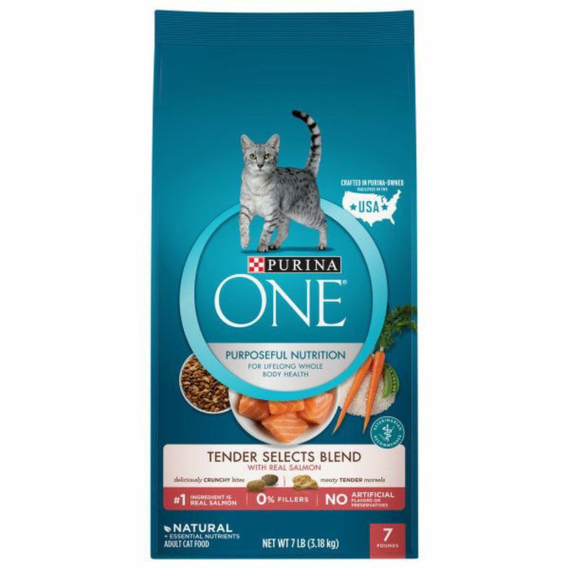 Purina ONE Cat Food Adult Tender Select Blend with Real Salmon Wegmans