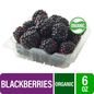 Fresh Organic Blackberries