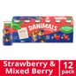 Danimals Smoothie Strawberry and Mixed Berry Low Fat Dairy Drink Smoothie Bottles