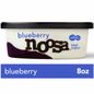 Noosa® Blueberry Yogurt Cup