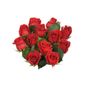 Bloom Haus Dozen Rose Red F4L