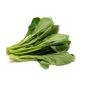 Yu Choy