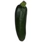 Organic Zucchini Squash