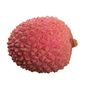 Lychee