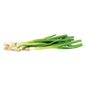 Green Onions, Bag