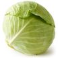 Green Cabbage