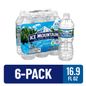 ICE MOUNTAIN Natural Spring Water