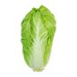 Organic Romaine Lettuce