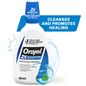 Orajel 2X Antiseptic Mouth Sore Rinse Mint For Canker Sores & Gum Irritation Kills Bacteria