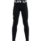 Under Armour Youth ColdGear Armour Leggings - 001-Black - L