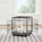 Top Paw Double Door Folding Wire Dog Crate
