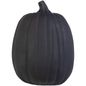 Holiday Living Pumpkin Craft Pumpkin | 551697
