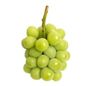 Seedless Green Grapes