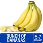 Fresh Bunch of Bananas – 5-7 Bananas