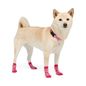 Dog Socks
