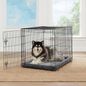 Top Paw Single Wire Door Folding Dog Crate, 48 x 30 x 32 in