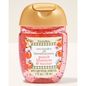 Peach Blossom & Nectar PocketBac Hand Sanitizer