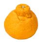 Sumo Mandarin