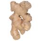 Organic Ginger Root