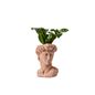LiveTrends Summer Collection Ceramic Pot - Florentine - Greenhouse Picks