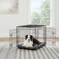 Top Paw Double Door Folding Wire Dog Crate