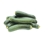 Zucchini