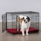 Kong Ultra-Strong Double Door Wire Dog Crate with Divider Panel