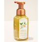 Sweet Tea & Lemonade Gentle & Clean Foaming Hand Soap