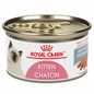 Royal Canin® Cat Food, Loaf in Sauce, Kitten