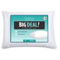 Springs Home Big Deal Pillows