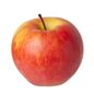 Honeycrisp Apple