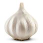 Organic Garlic