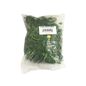NewStar Cilantro