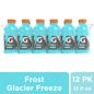 Gatorade® Frost Blue Glacier Freeze Sports Drink Mini Multipack Bottles